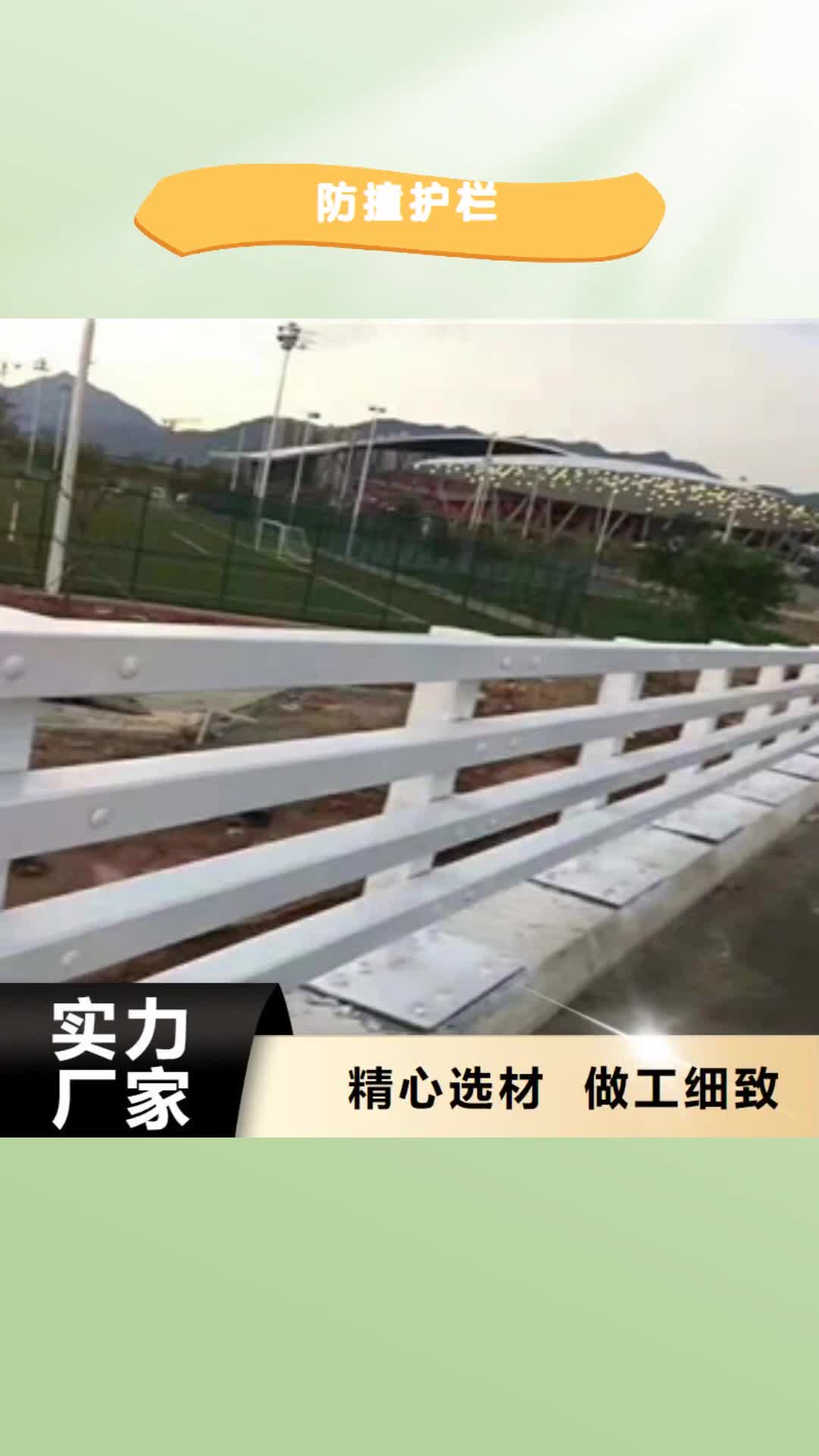 怒江【防撞护栏】桥梁护栏欢迎来厂考察