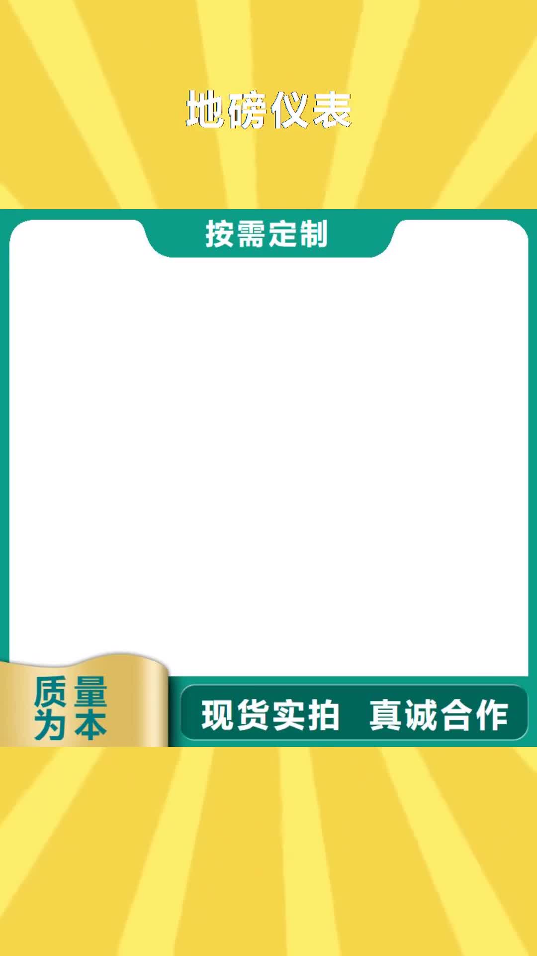 台湾【地磅仪表】-铲车秤专业信赖厂家